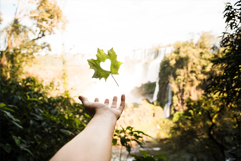 Sustainability